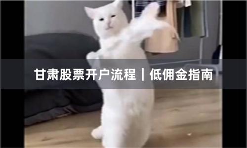 甘肃股票开户流程｜低佣金指南