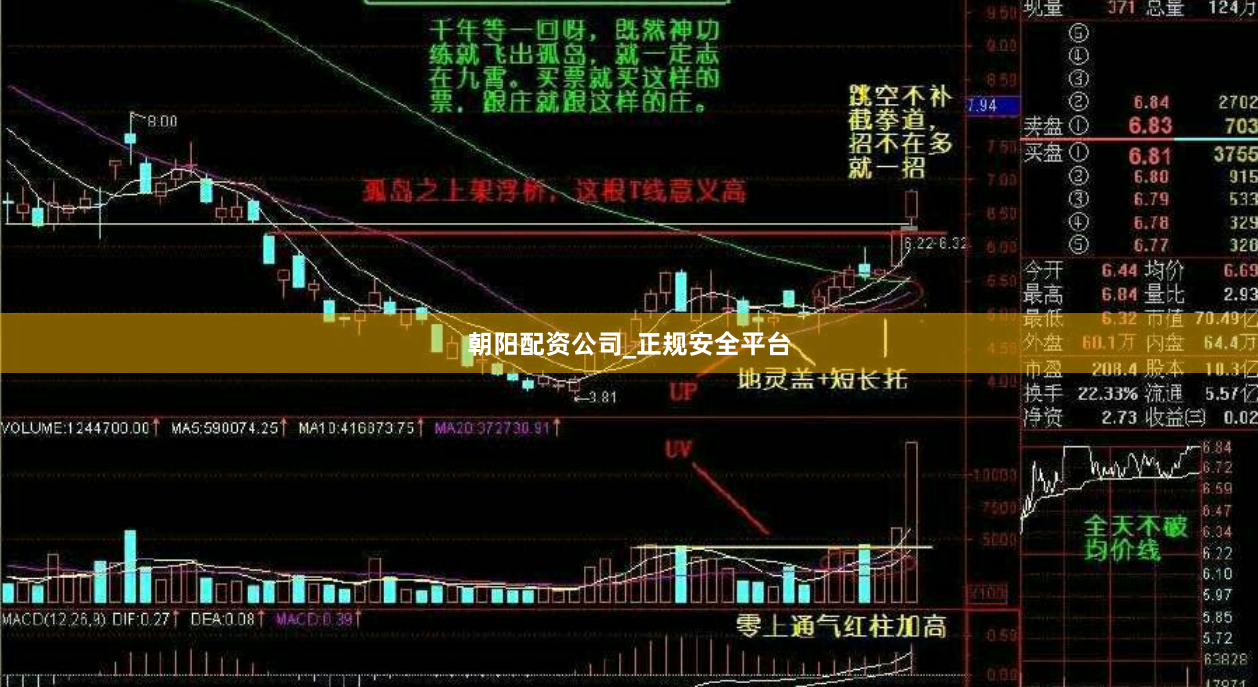 朝阳配资公司_正规安全平台