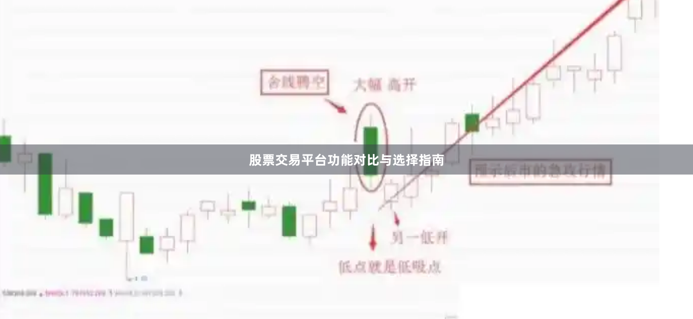 股票交易平台功能对比与选择指南